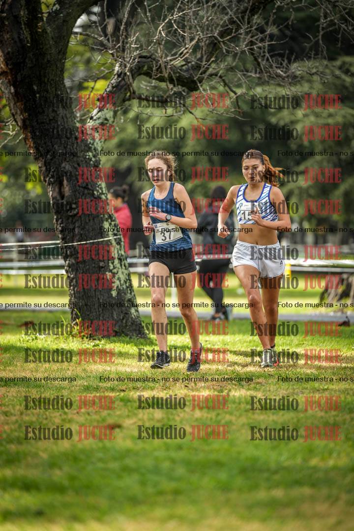 Fotos en el circuito