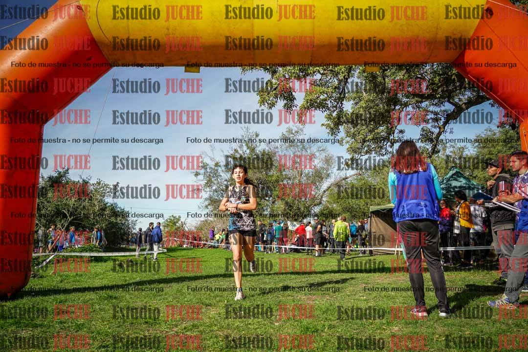 Fotos de la llegada del cross de 3000 m