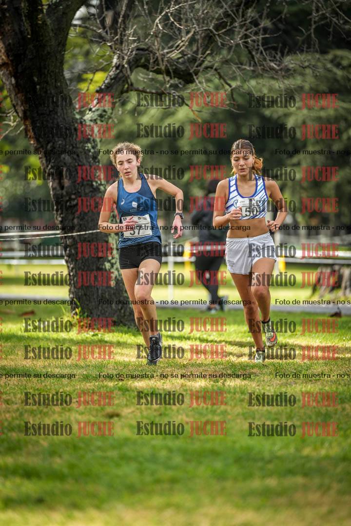 Fotos en el circuito