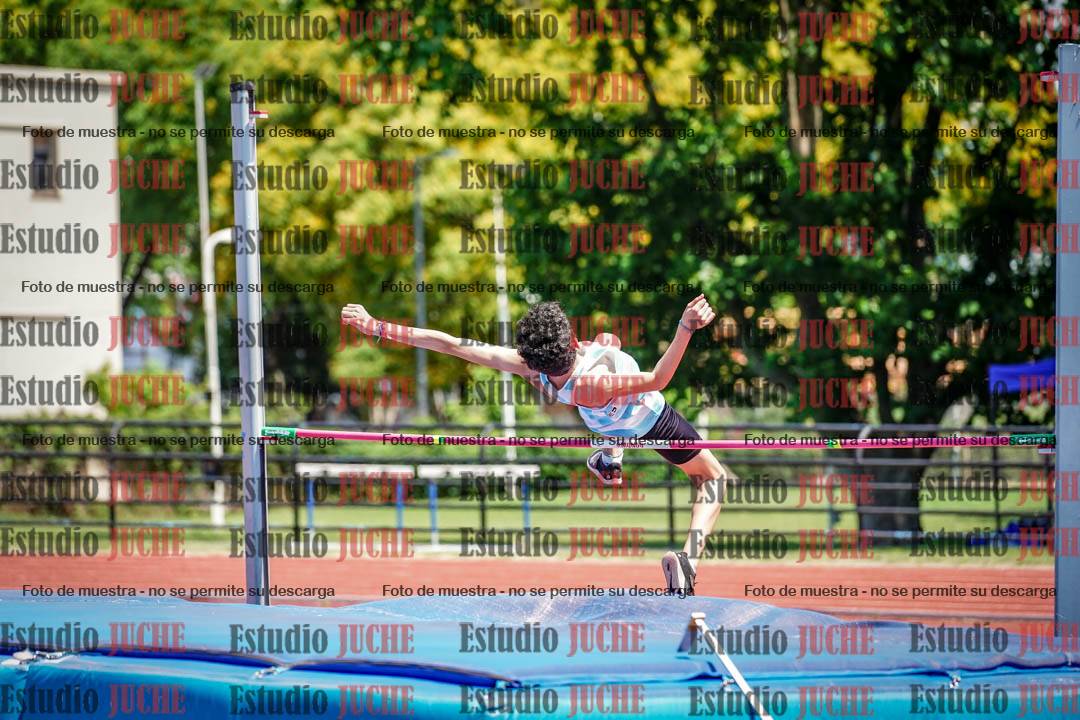 Fotos del salto en alto de varones