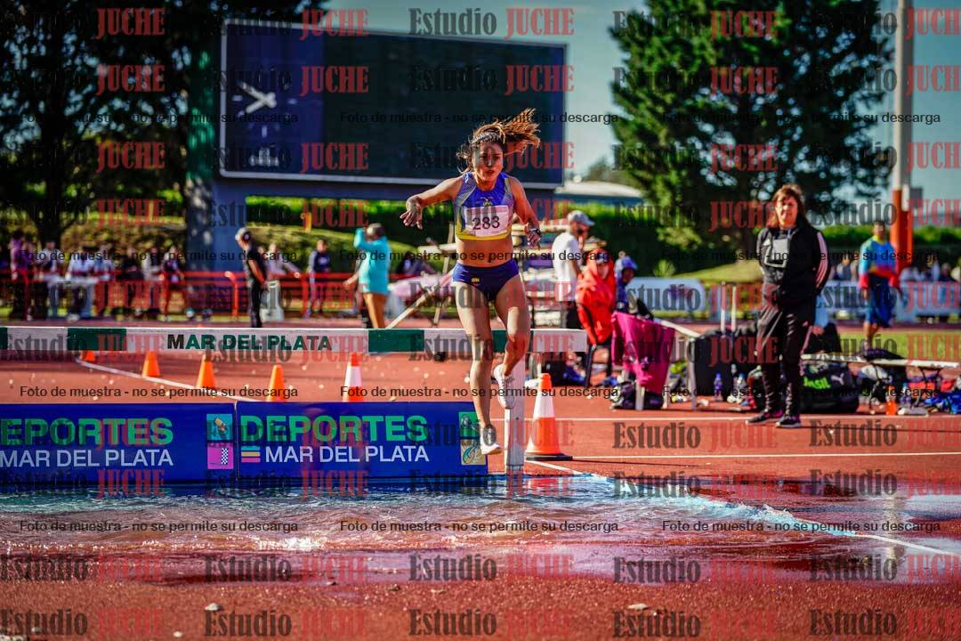 Fotos de los 3000 m con obstáculos de mujeres