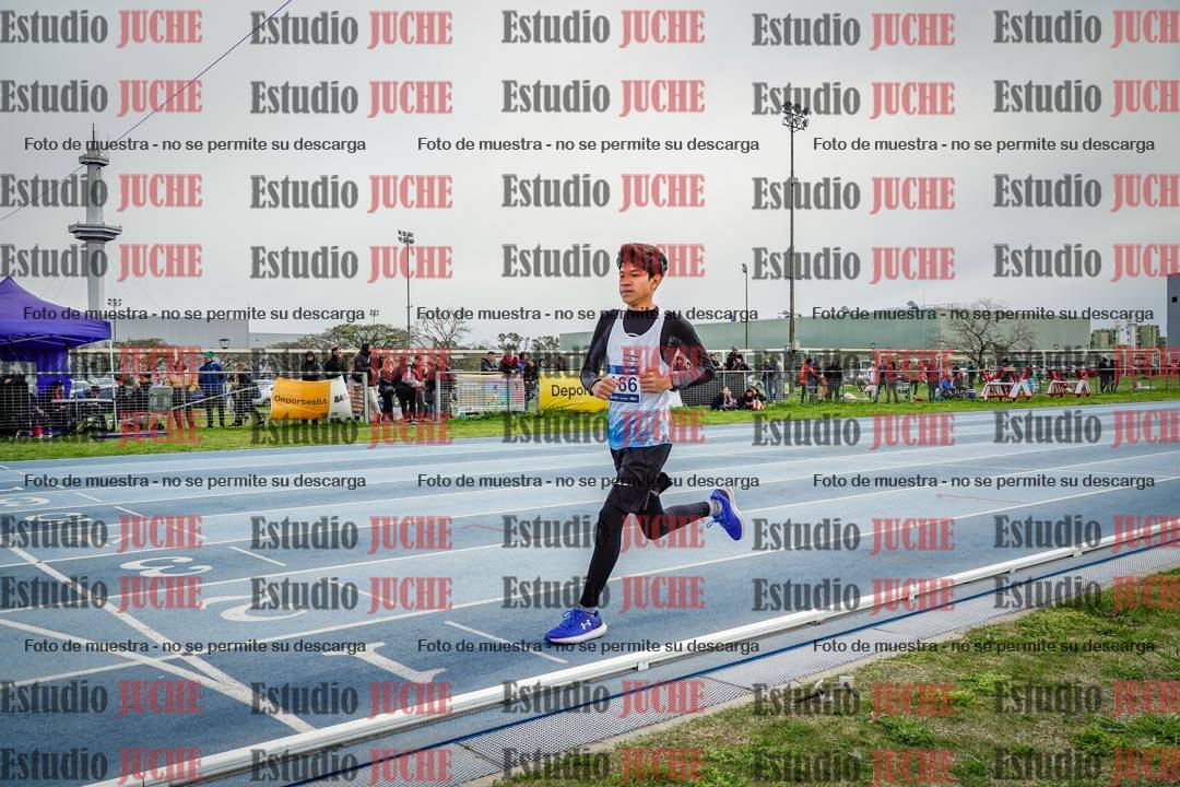 Fotos de los 800 m llanos de varones - U17