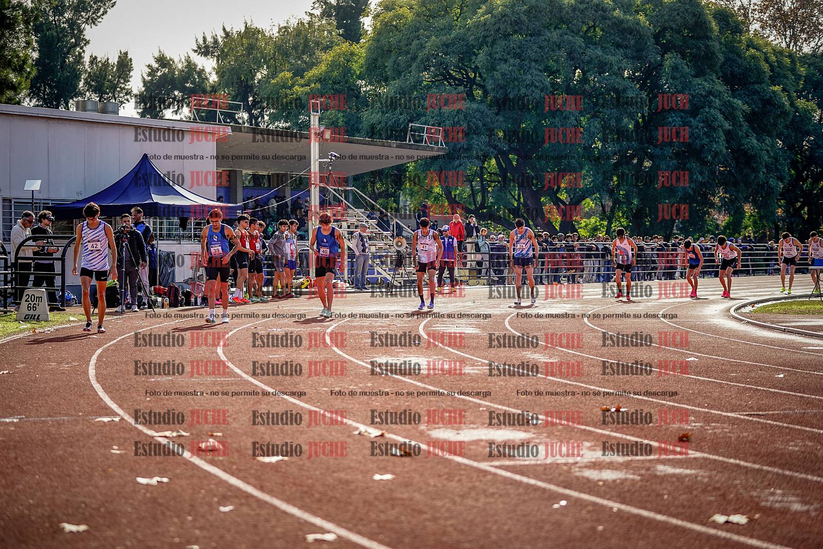 Fotos de los 800 m de varones
