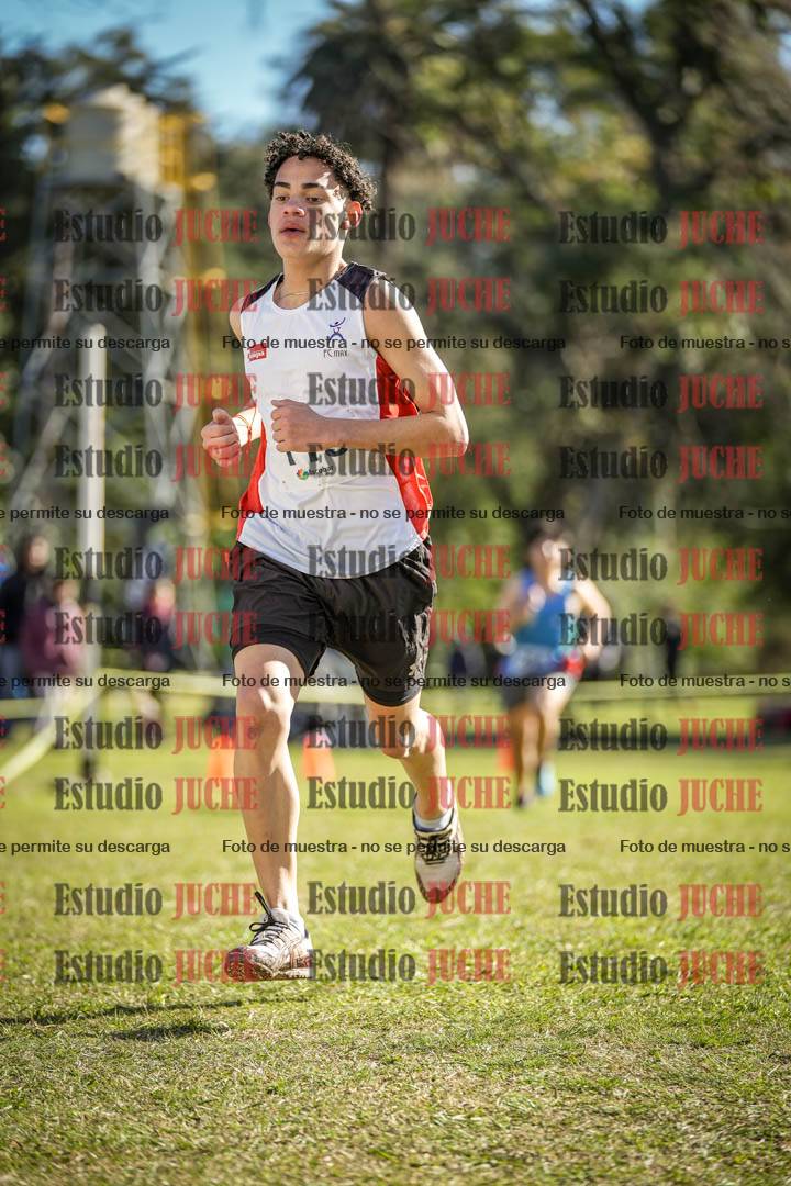 Fotos de la llegada del cross de 3000 m