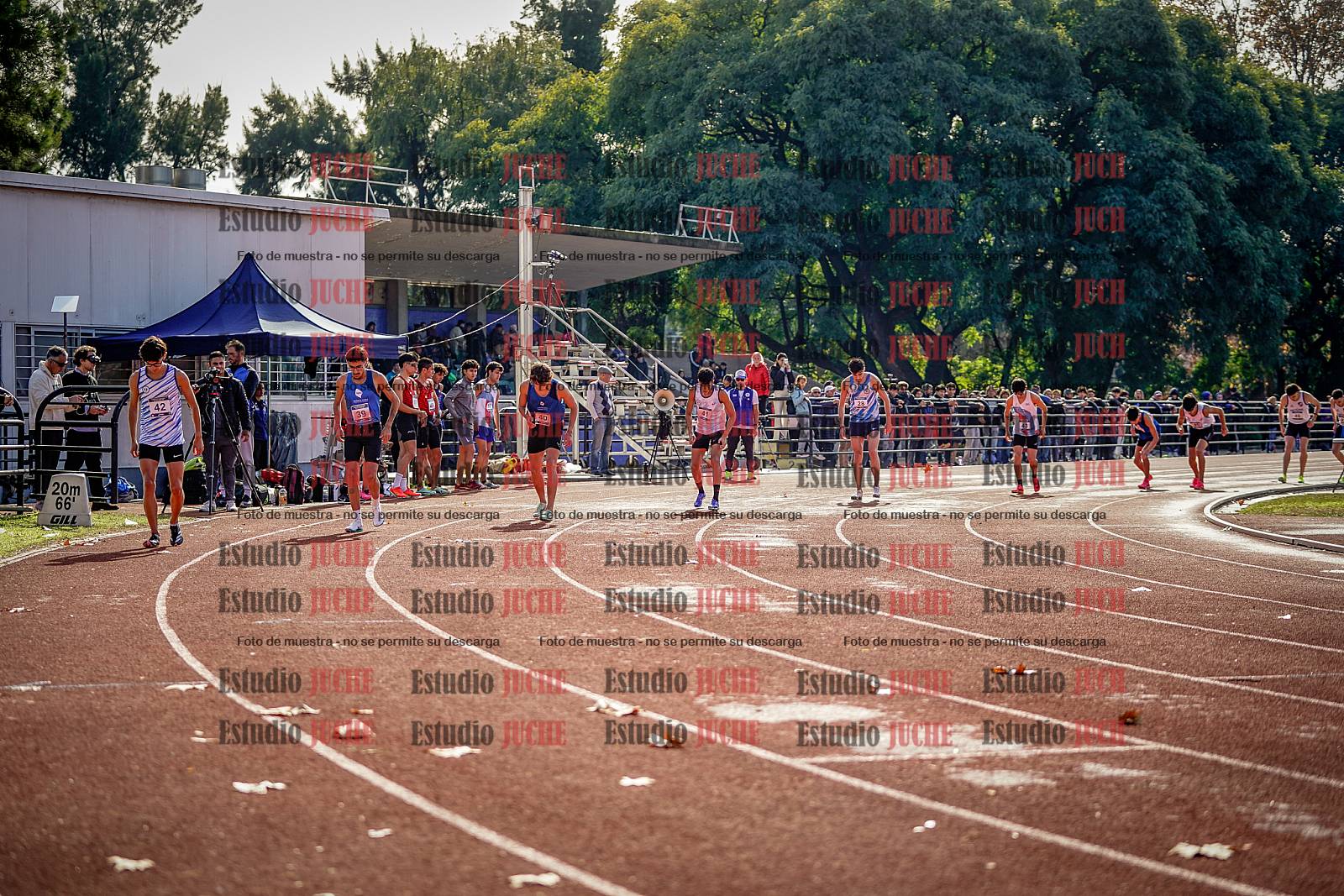 Fotos de los 800 m de varones