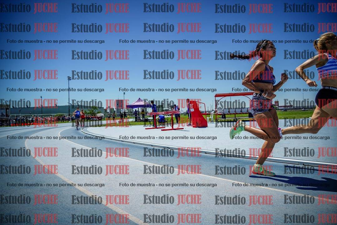 Fotos de los 800 m llanos de mujeres