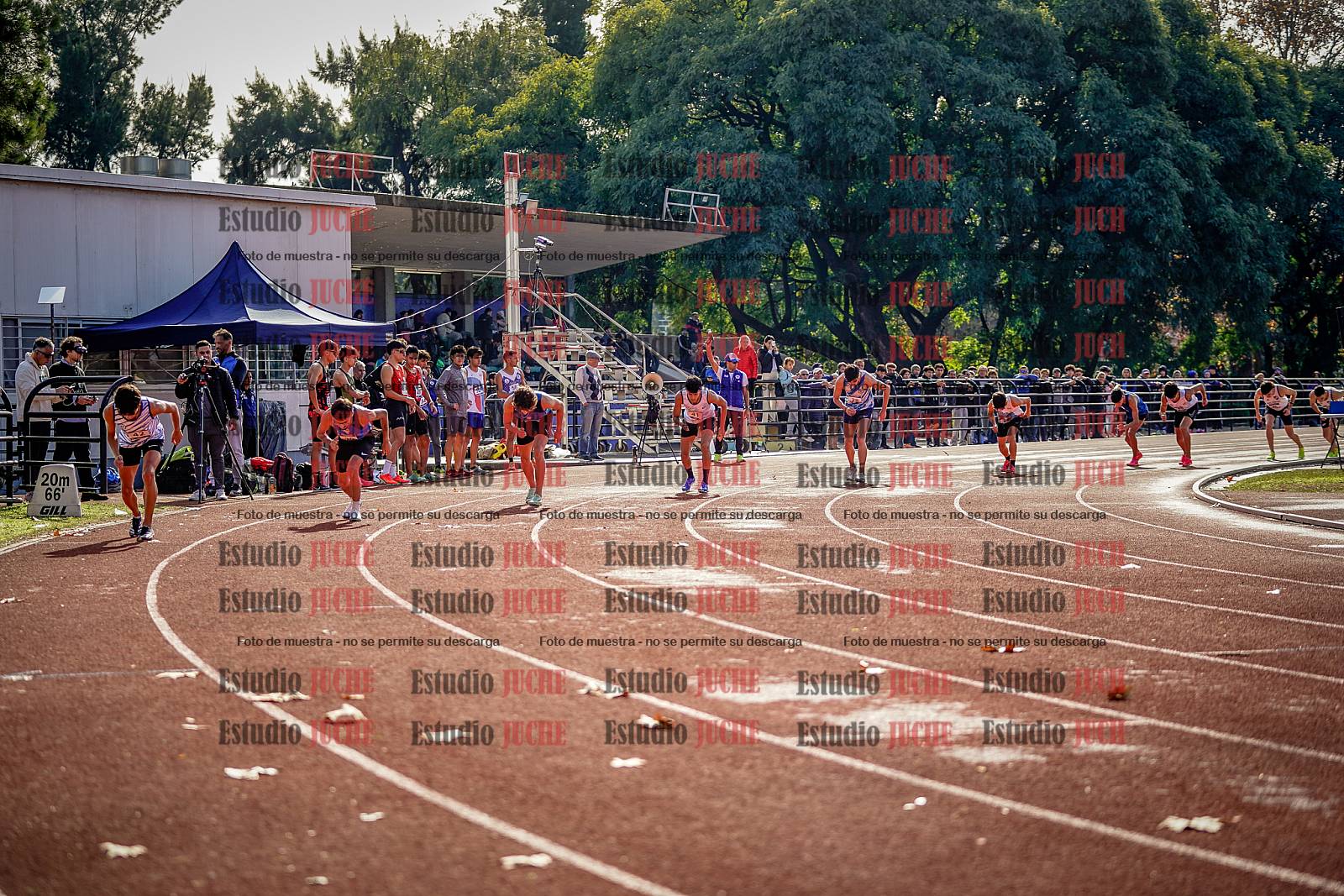 Fotos de los 800 m de varones