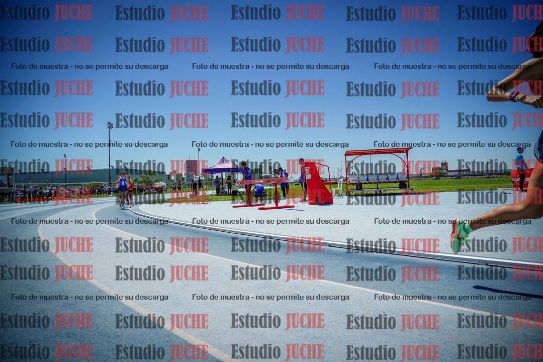 Fotos de los 800 m llanos de mujeres