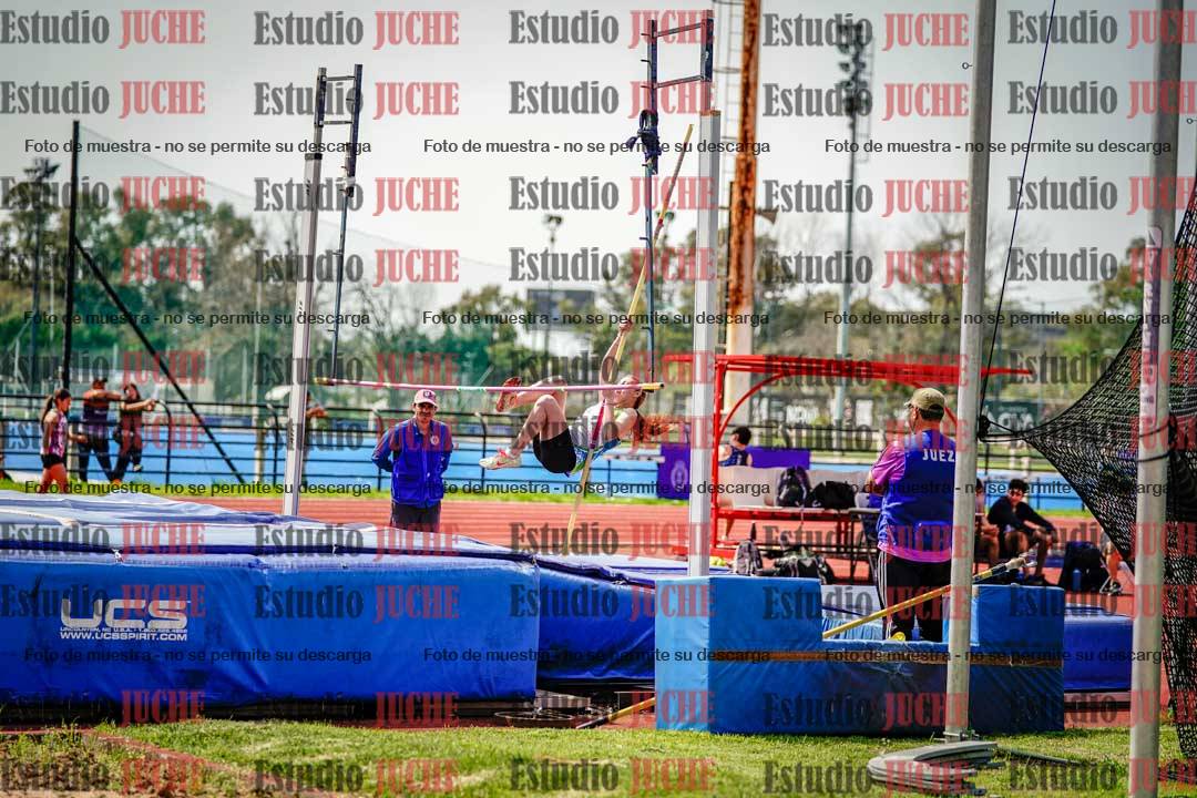 Fotos del salto con garrocha de mujeres y varones