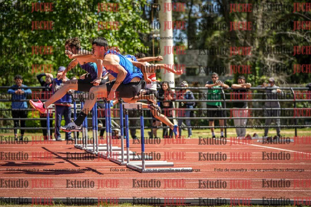 Fotos de los 110 m con vallas de varones