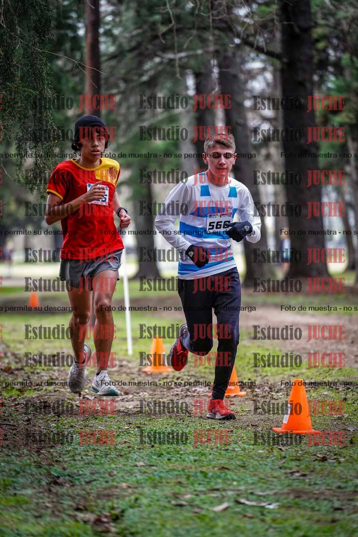 Fotos en el circuito
