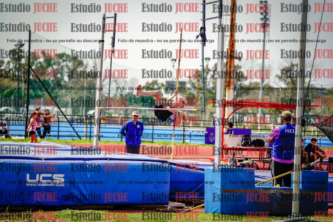 Fotos del salto con garrocha de mujeres y varones