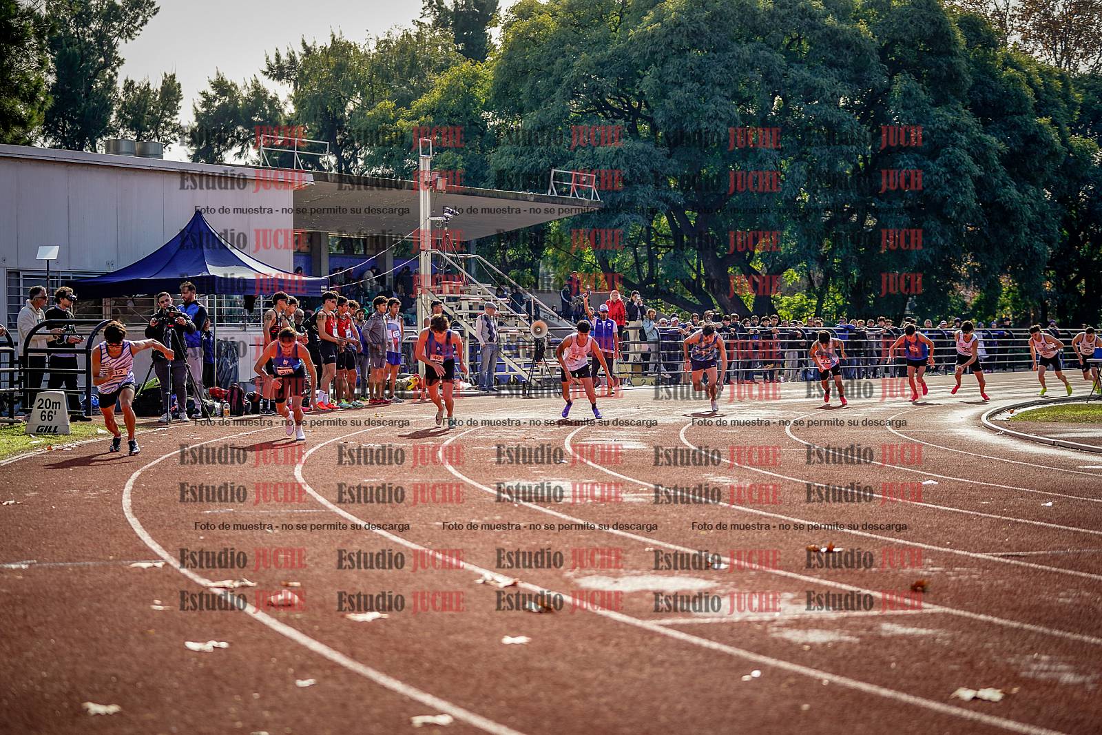 Fotos de los 800 m de varones