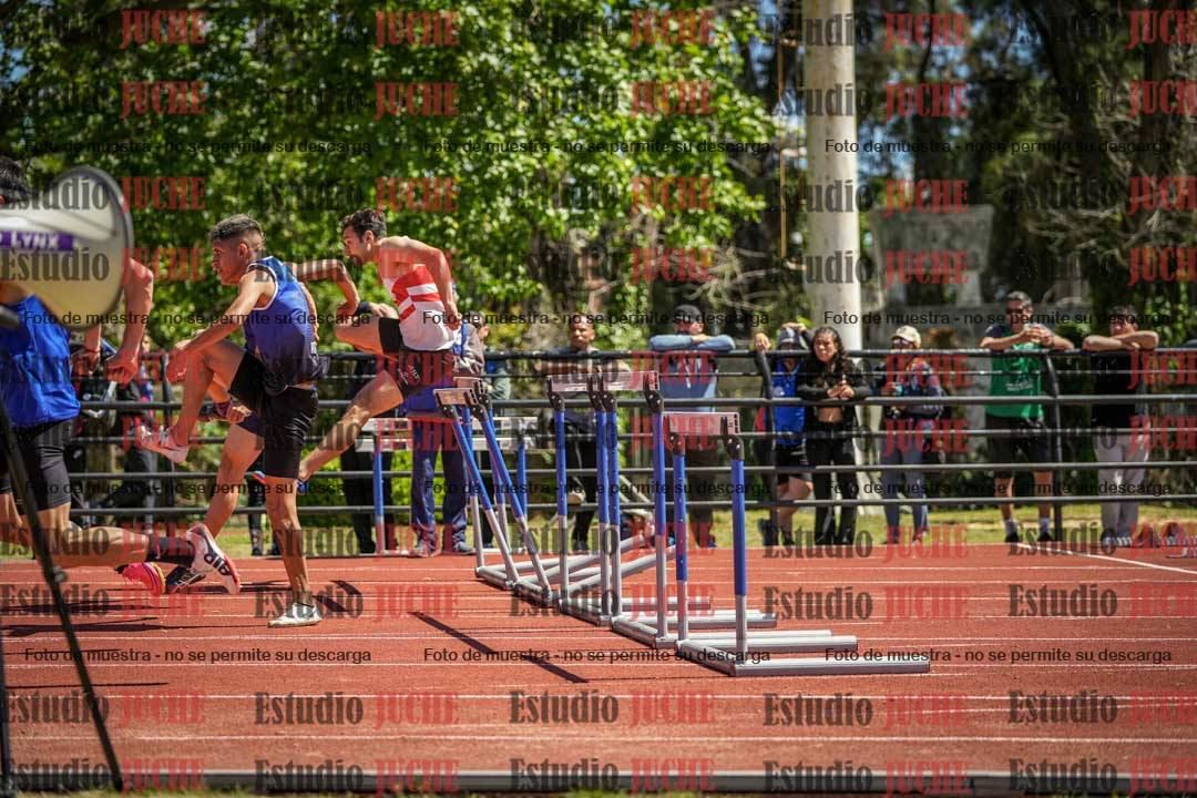 Fotos de los 110 m con vallas de varones