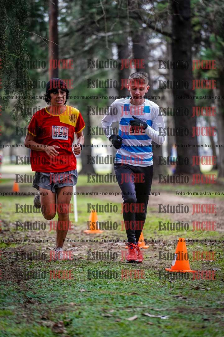 Fotos en el circuito