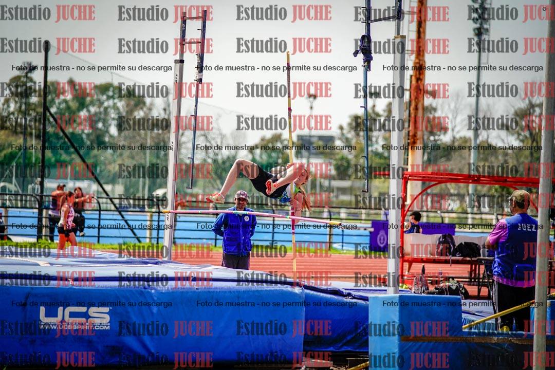 Fotos del salto con garrocha de mujeres y varones