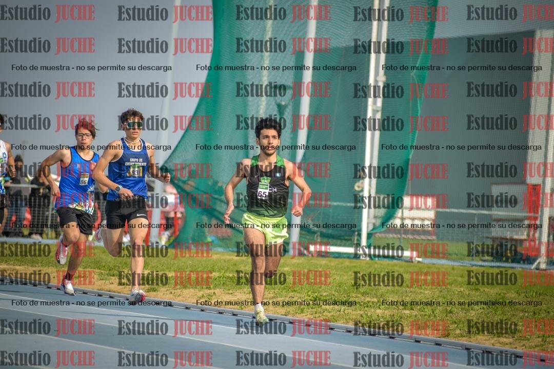 Fotos de los 800 m llanos de varones
