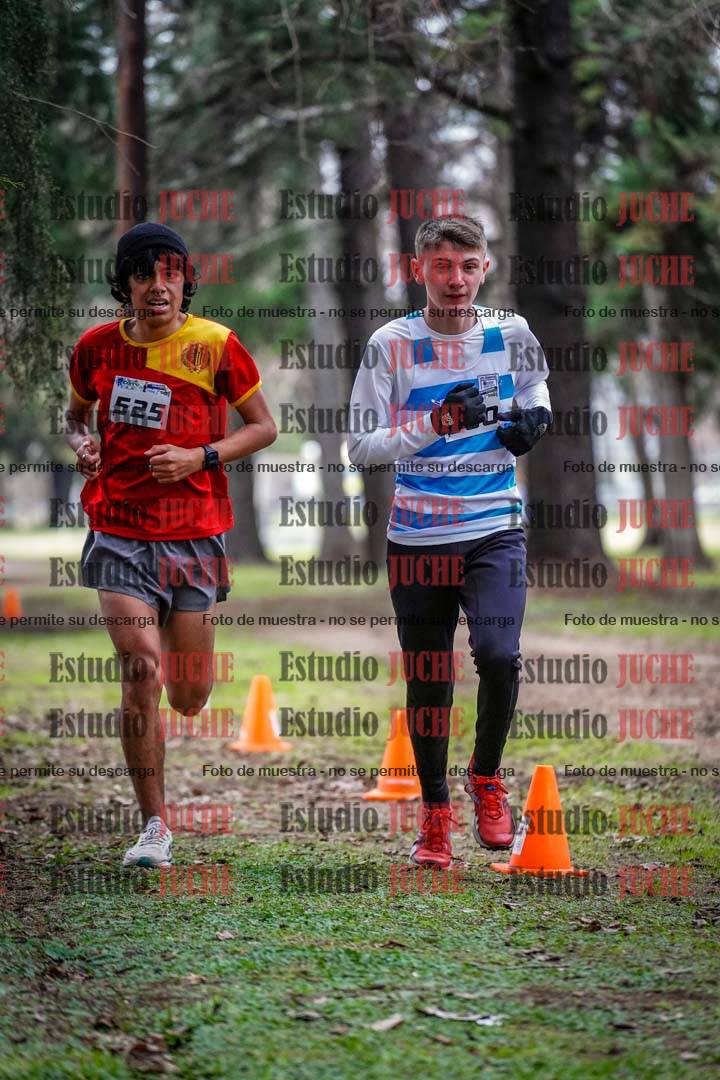 Fotos en el circuito