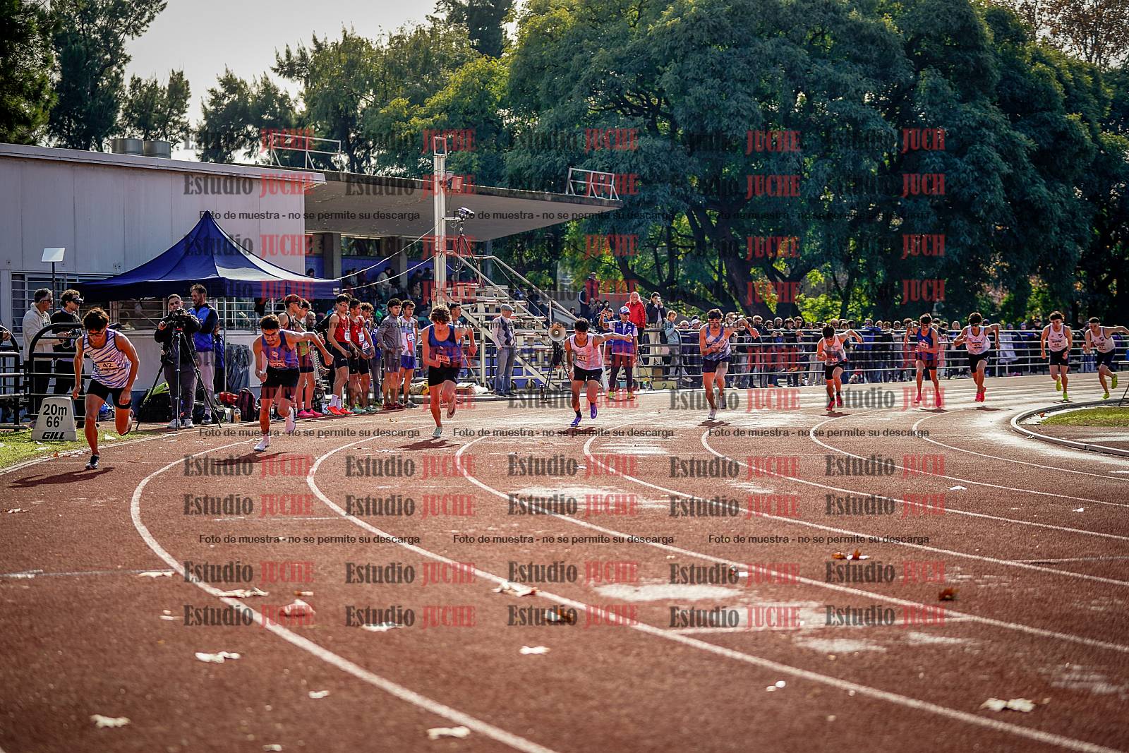Fotos de los 800 m de varones