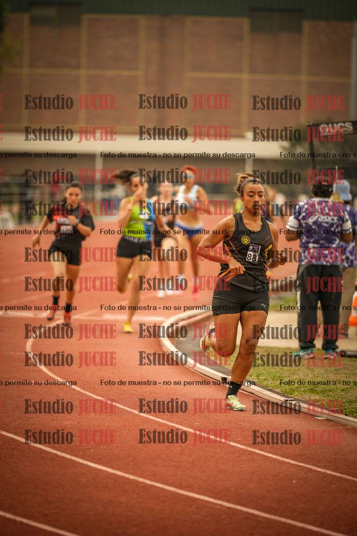 Fotos de los 800 m llanos de mujeres