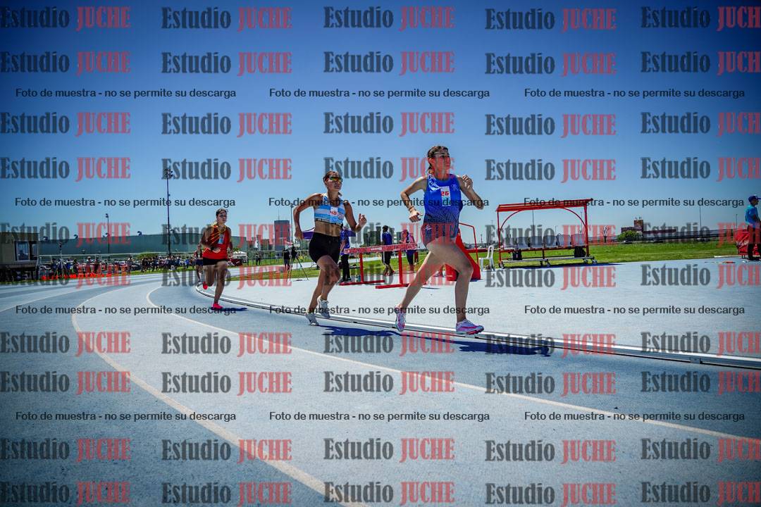 Fotos de los 800 m llanos de mujeres