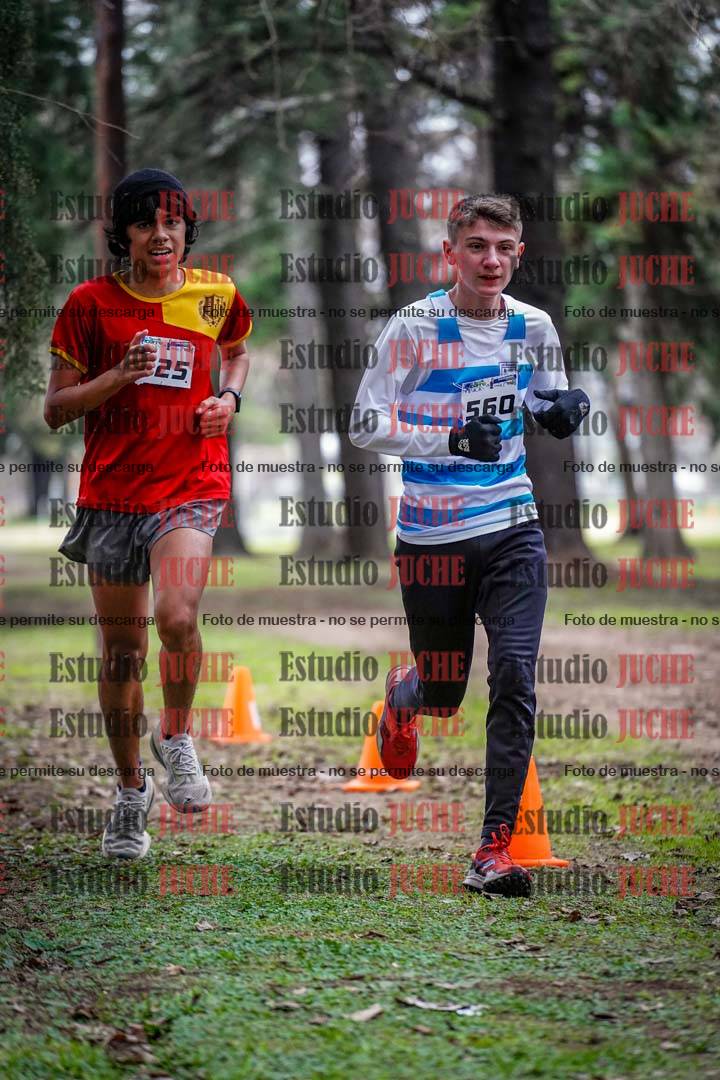 Fotos en el circuito