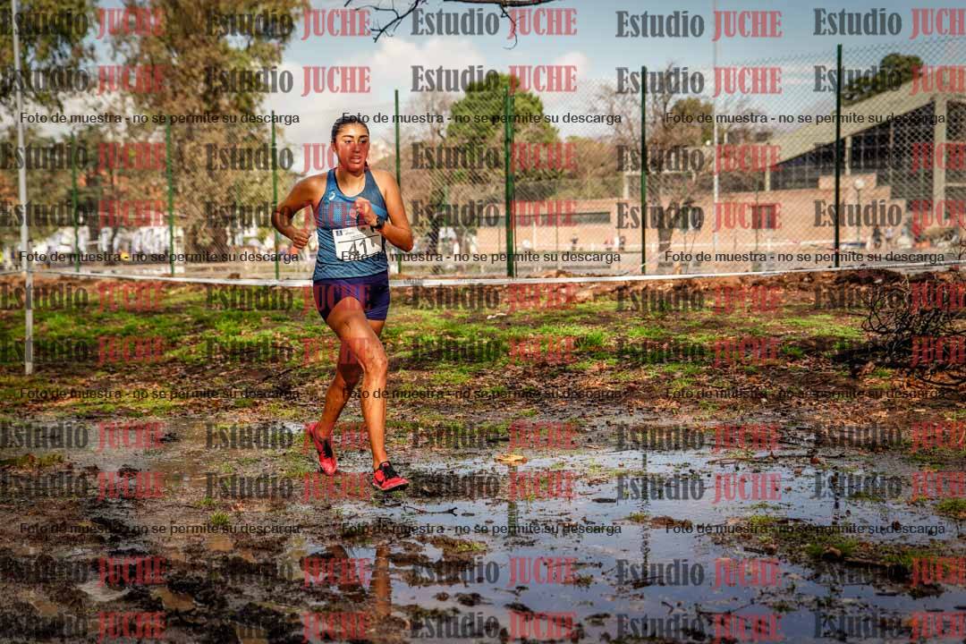 Fotos en el circuito
