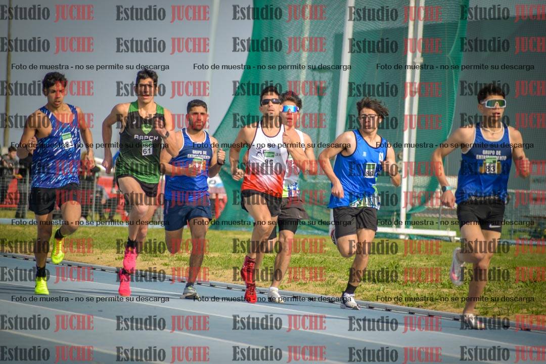 Fotos de los 800 m llanos de varones