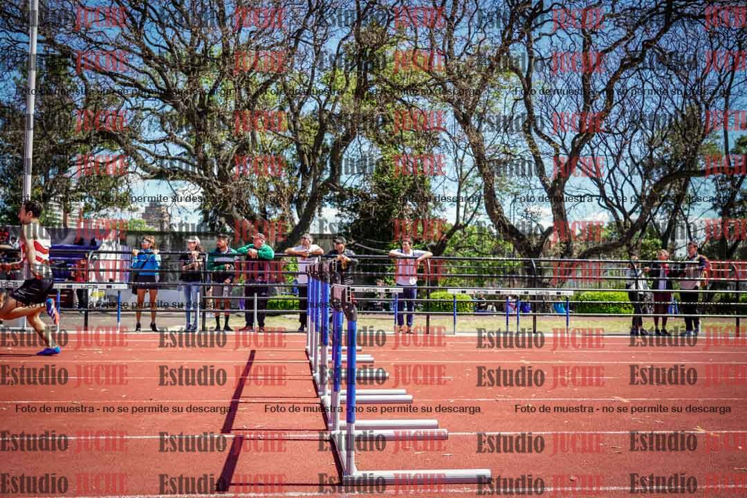 Fotos de los 110 m con vallas de varones