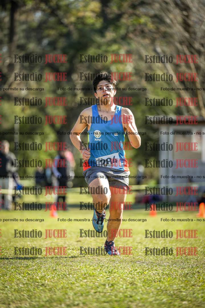 Fotos de la llegada del cross de 3000 m