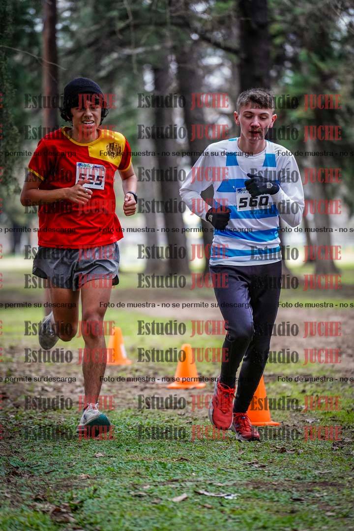 Fotos en el circuito