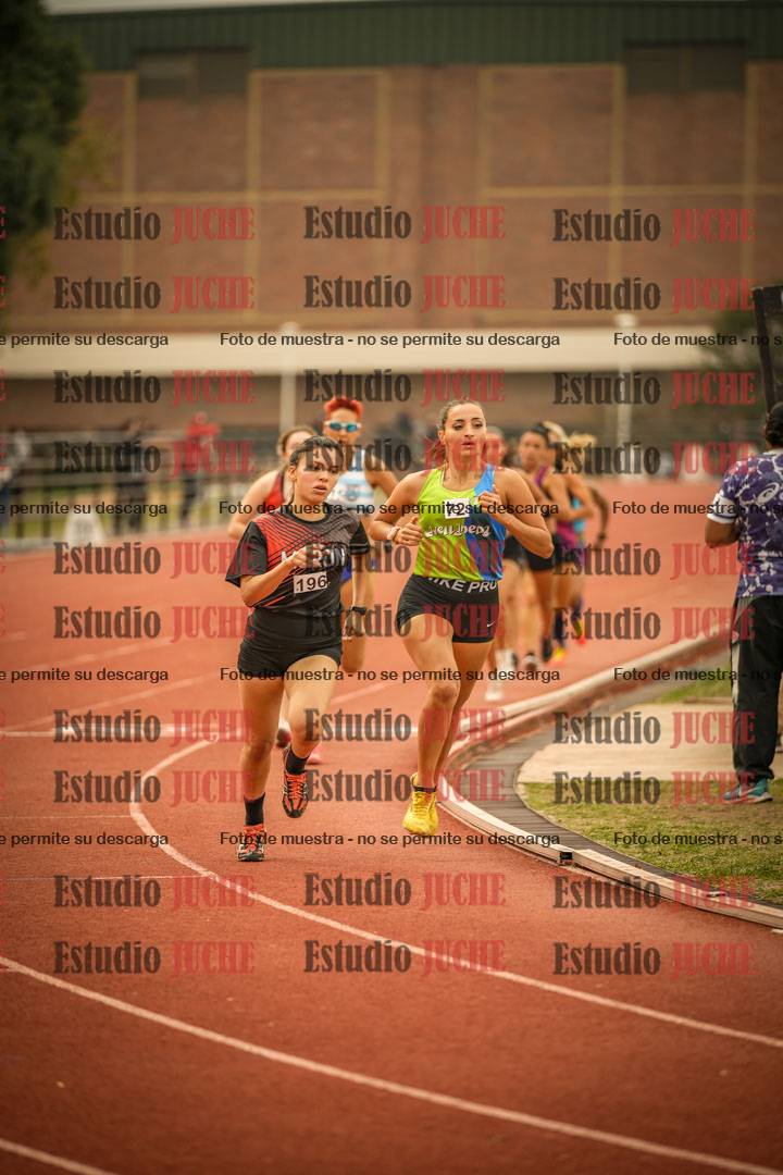 Fotos de los 800 m llanos de mujeres