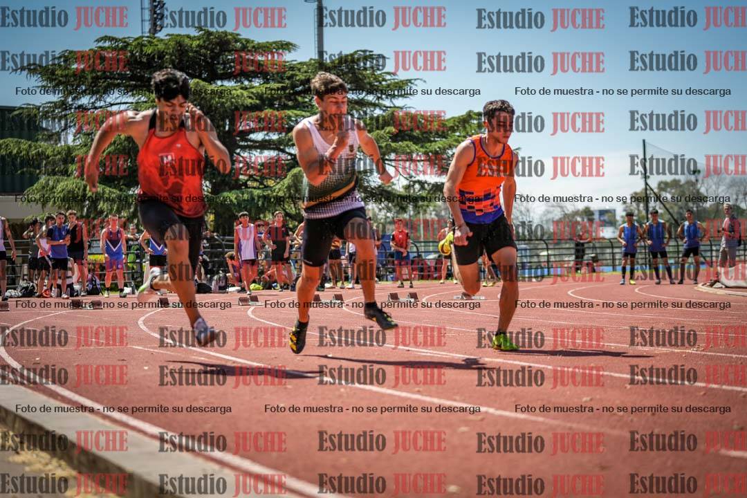 Fotos de los 100 m llanos de varones