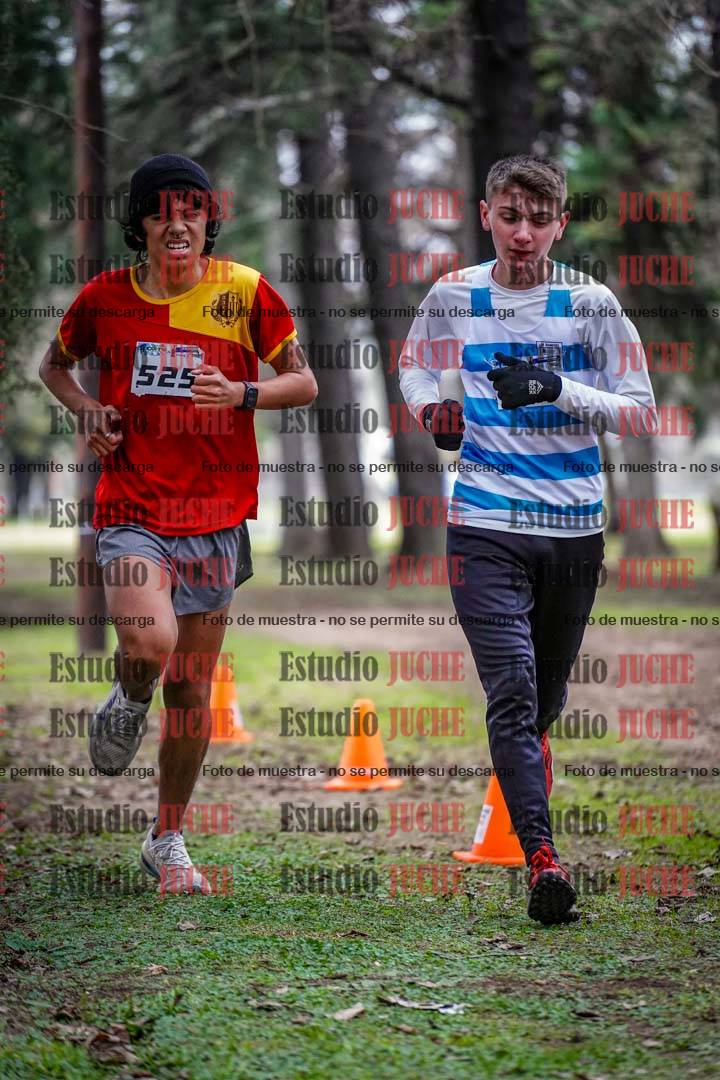 Fotos en el circuito