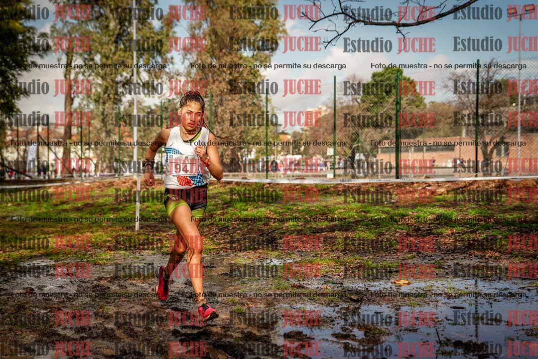 Fotos en el circuito