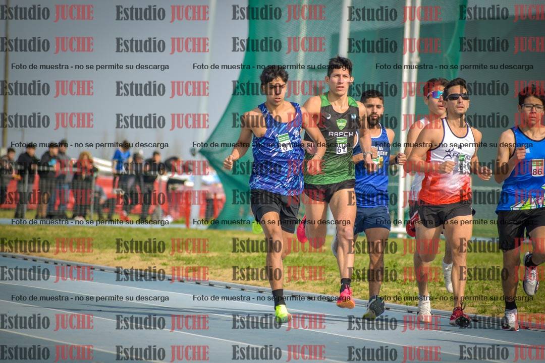 Fotos de los 800 m llanos de varones
