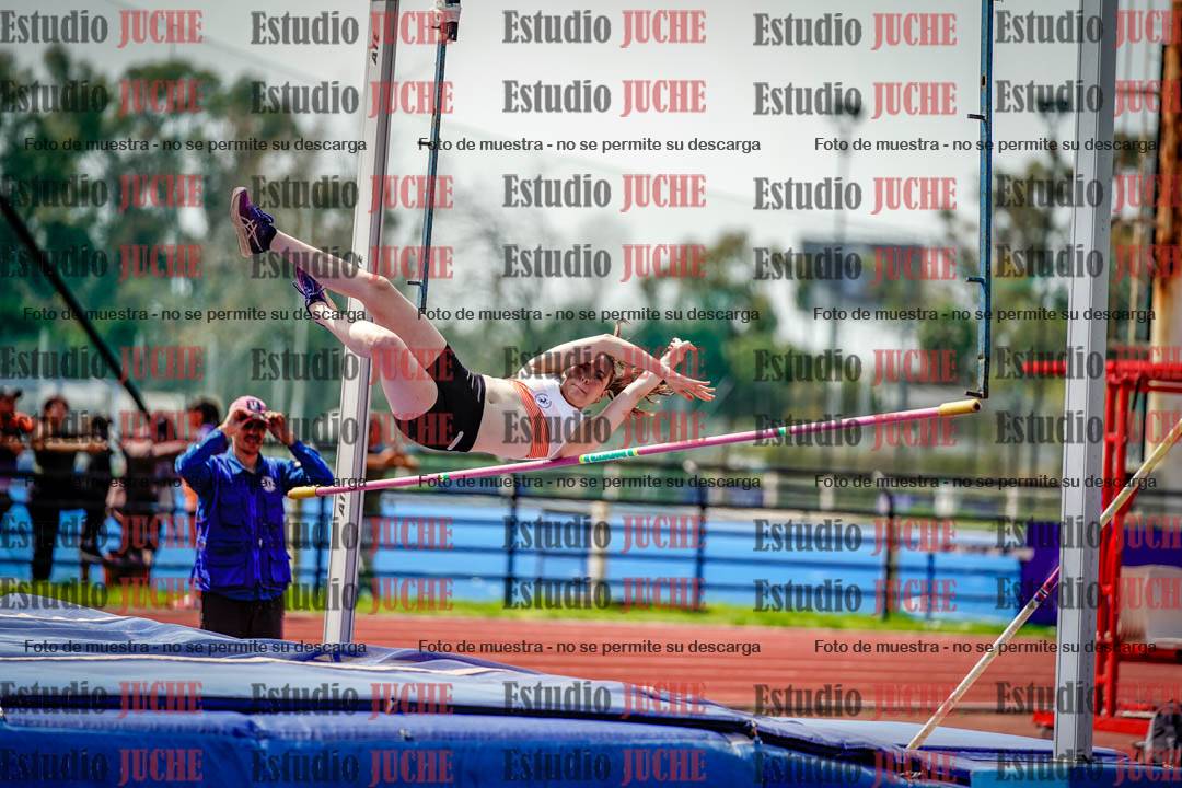 Fotos del salto con garrocha de mujeres y varones