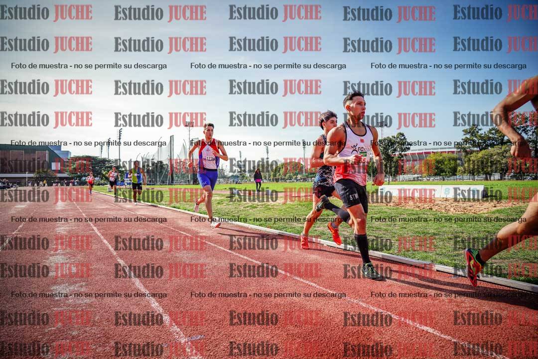 Fotos de los 800 m llanos de varones