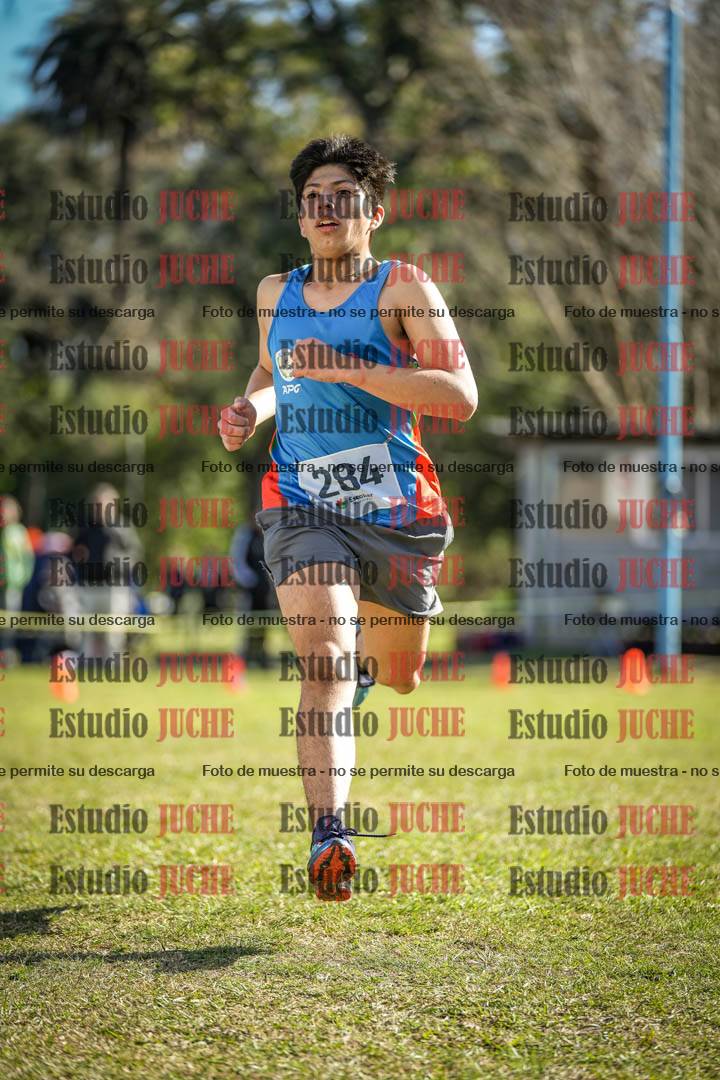 Fotos de la llegada del cross de 3000 m