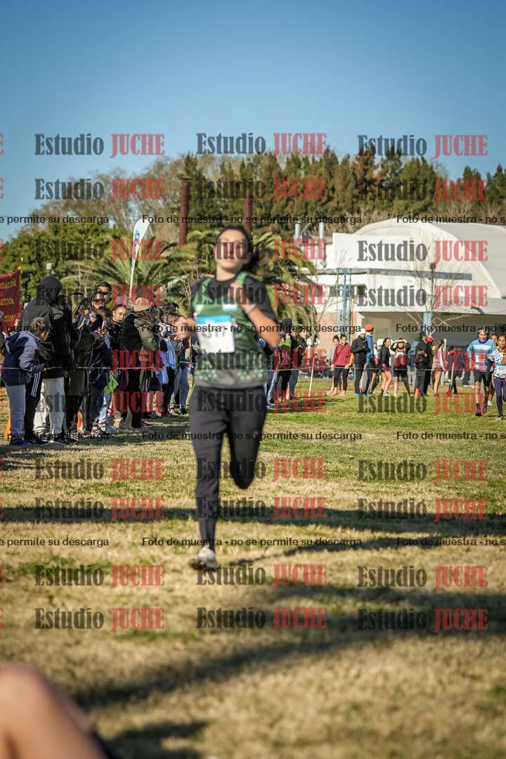 Fotos de las llegadas