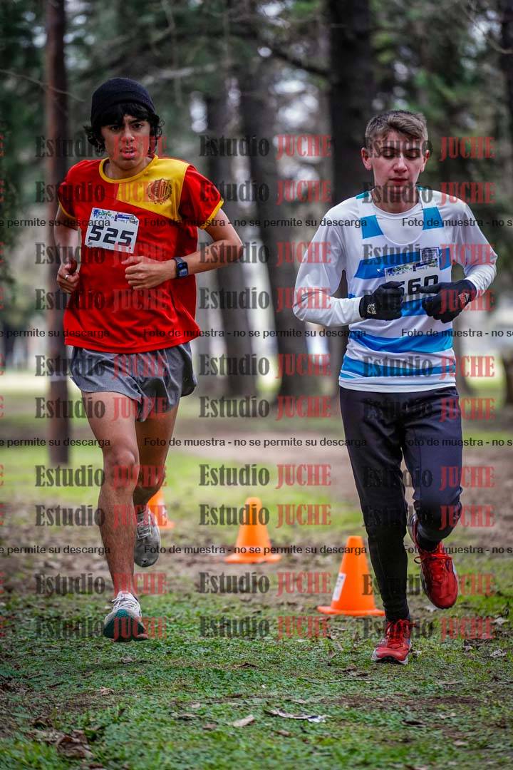 Fotos en el circuito
