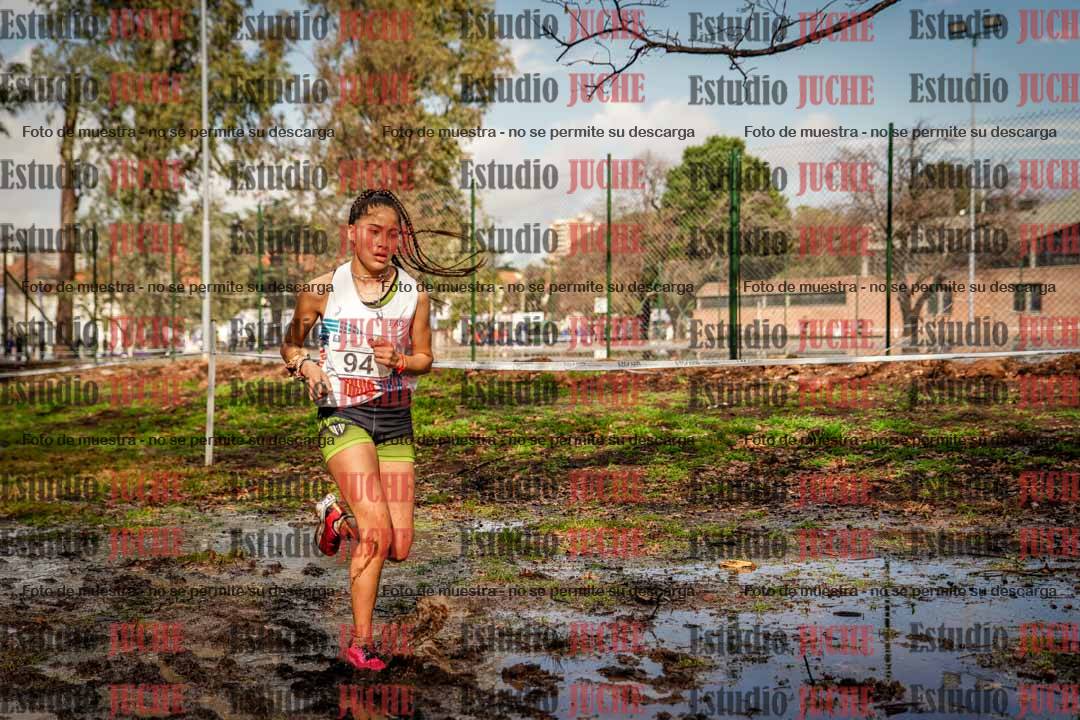 Fotos en el circuito