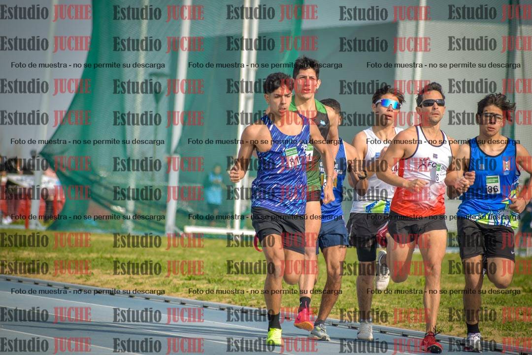 Fotos de los 800 m llanos de varones