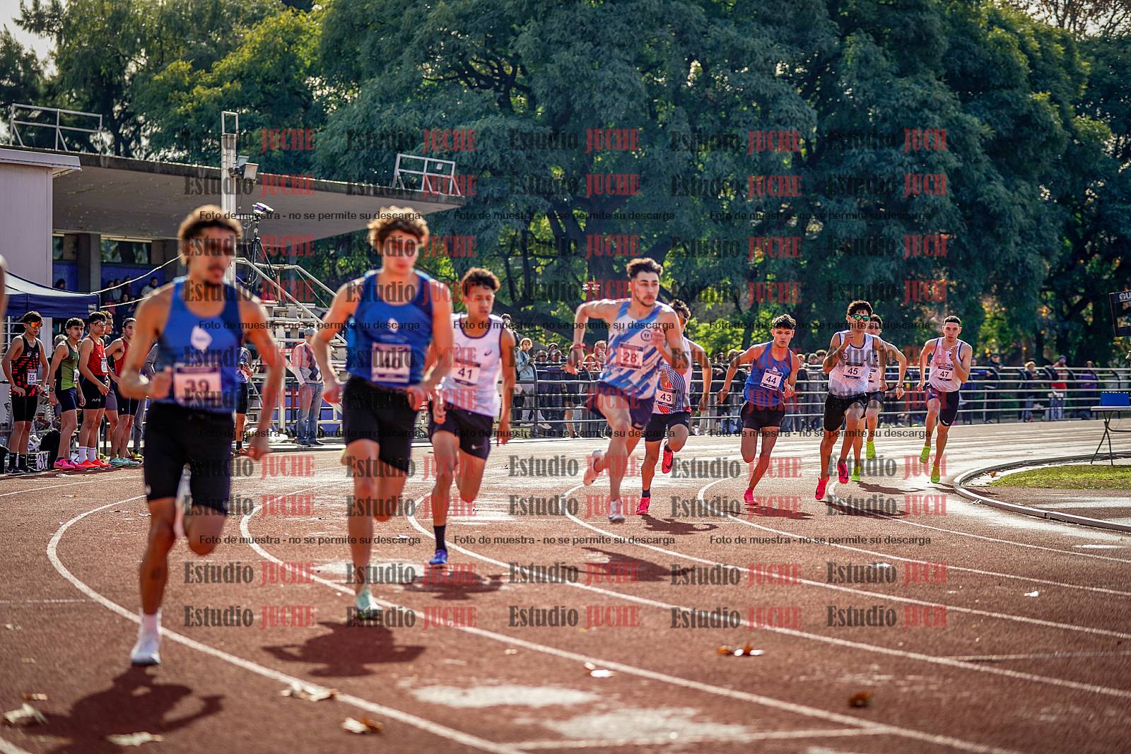 Fotos de los 800 m de varones