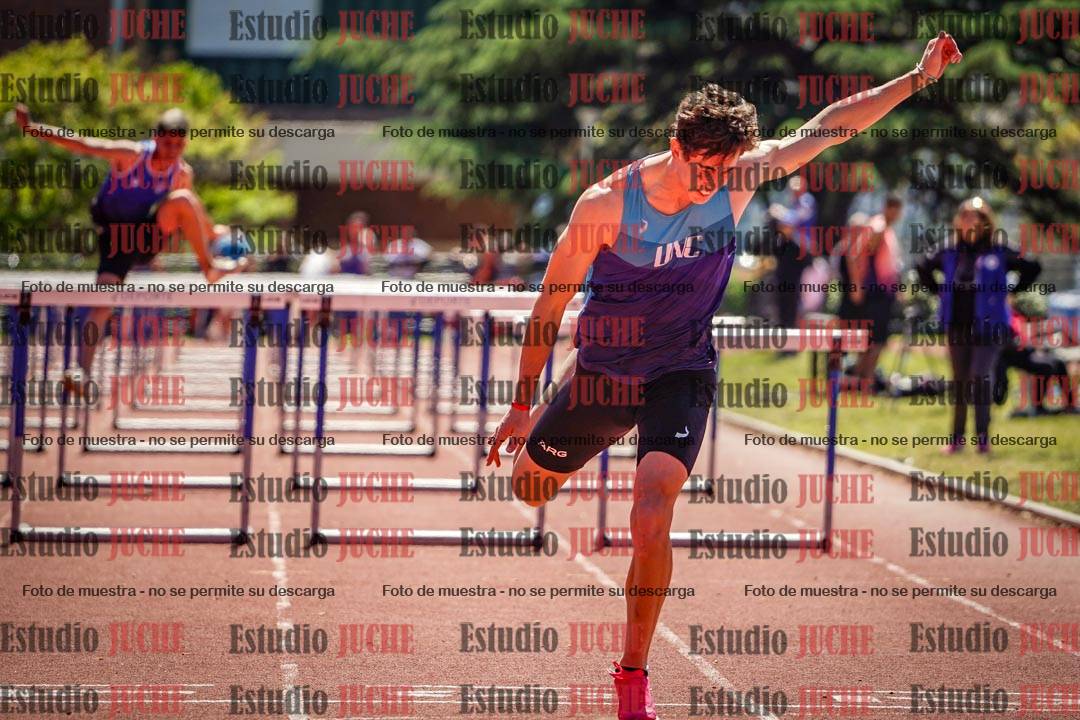 Fotos de los 110 m con vallas de varones