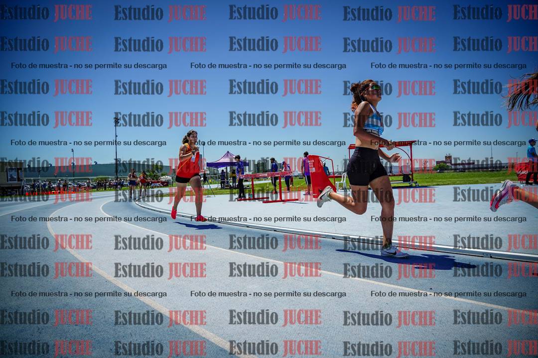 Fotos de los 800 m llanos de mujeres