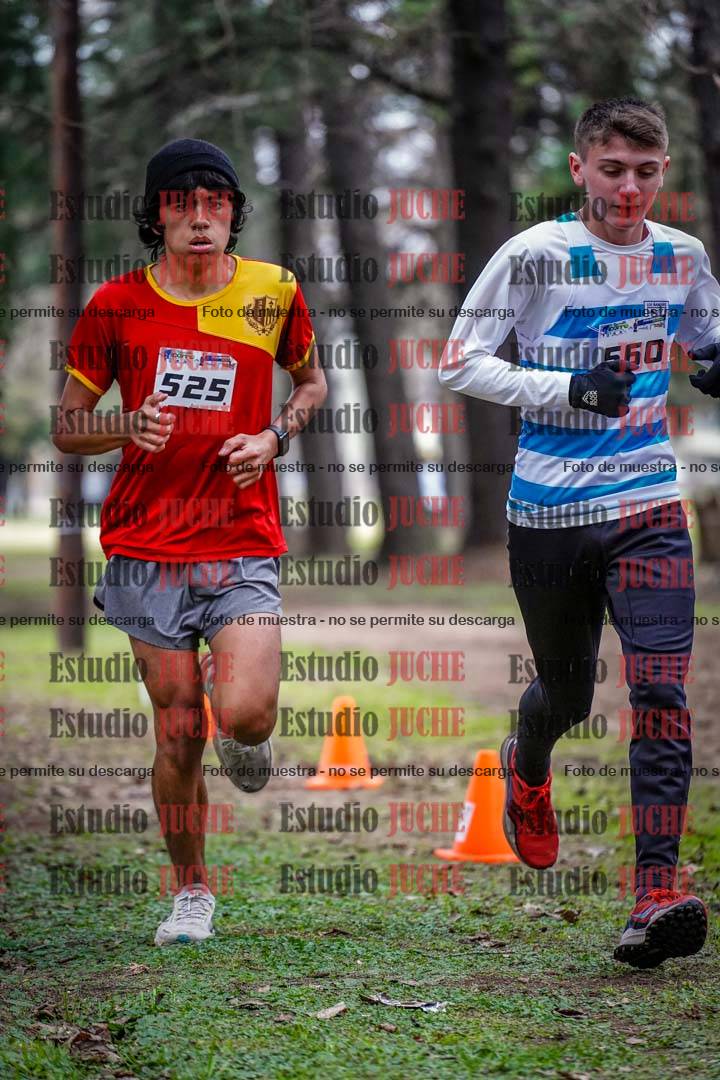 Fotos en el circuito