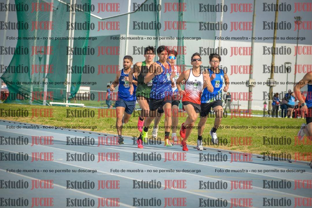Fotos de los 800 m llanos de varones