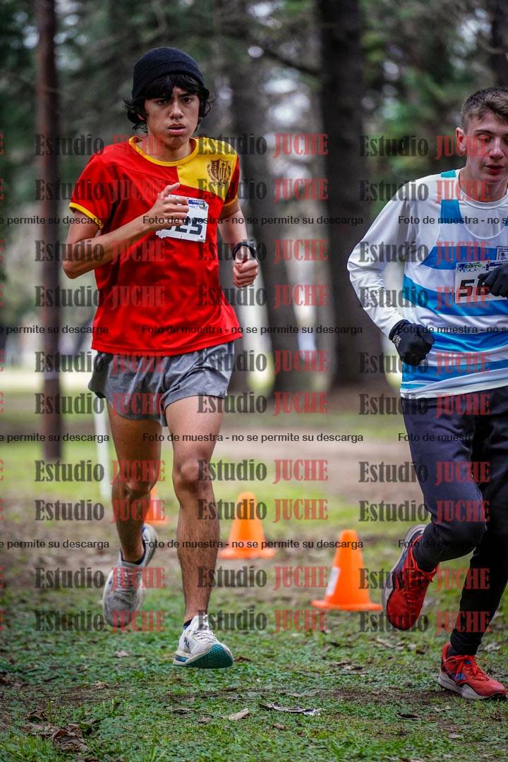 Fotos en el circuito