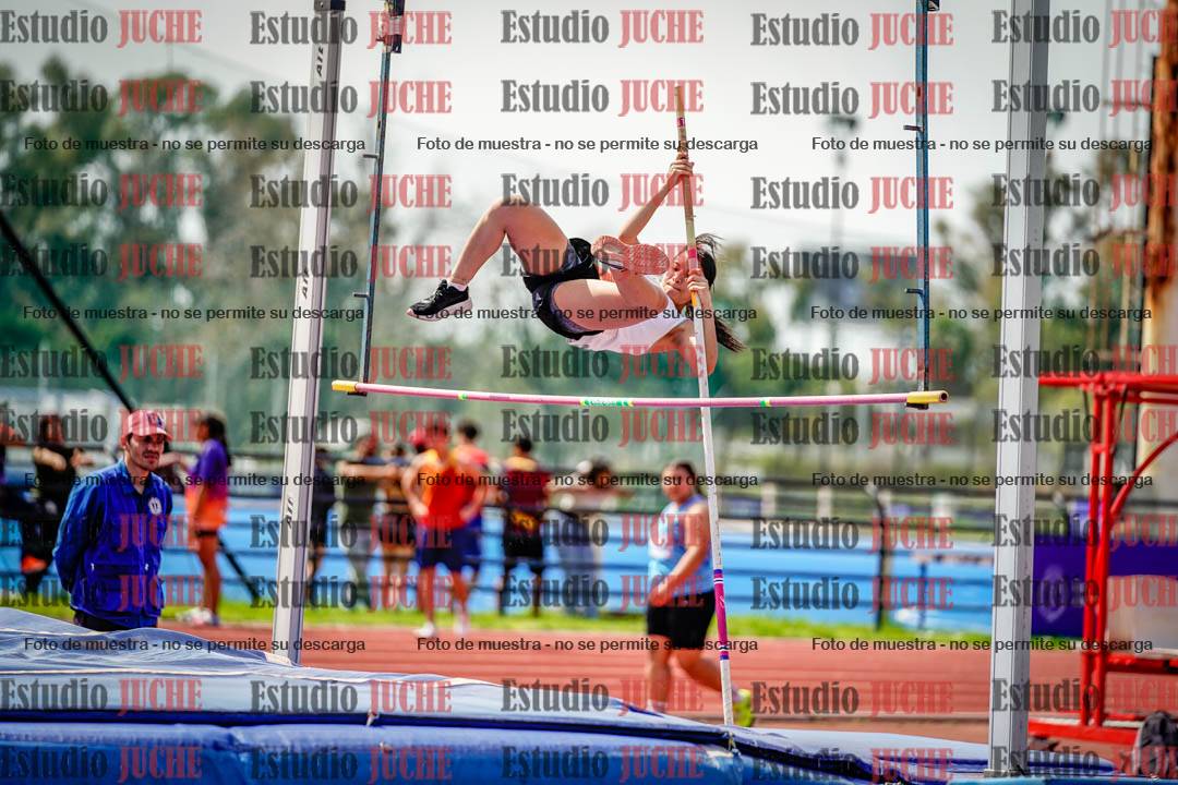 Fotos del salto con garrocha de mujeres y varones
